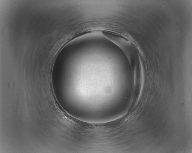 X0000060770385200511101220