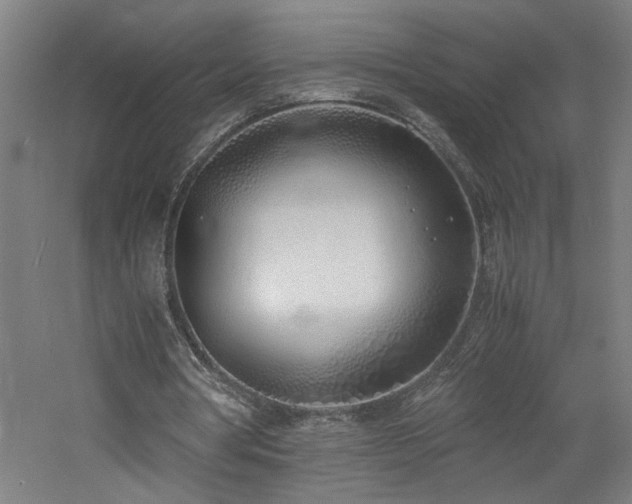 X0000060770386200511101220