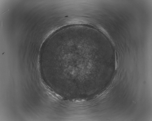 X0000060770387200511101220