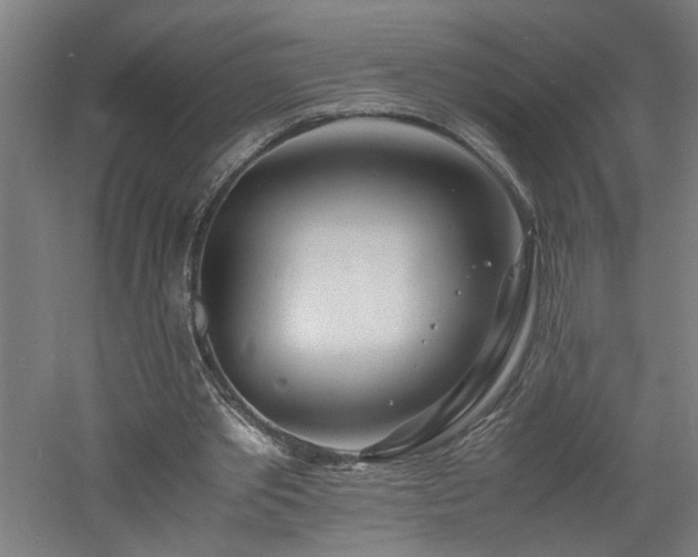 X0000060770389200511101220