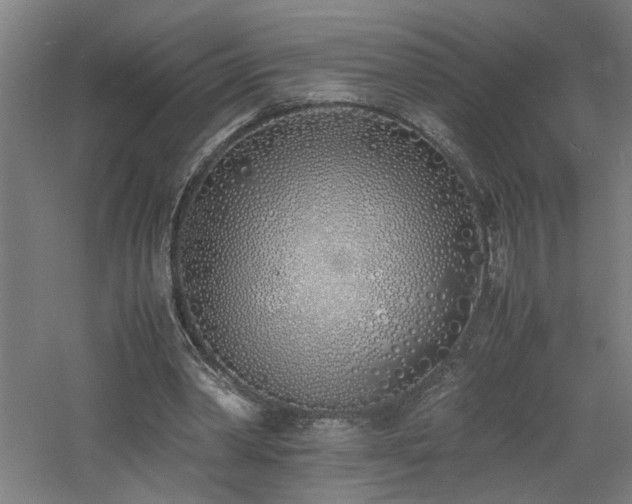 X0000060770390200511101220