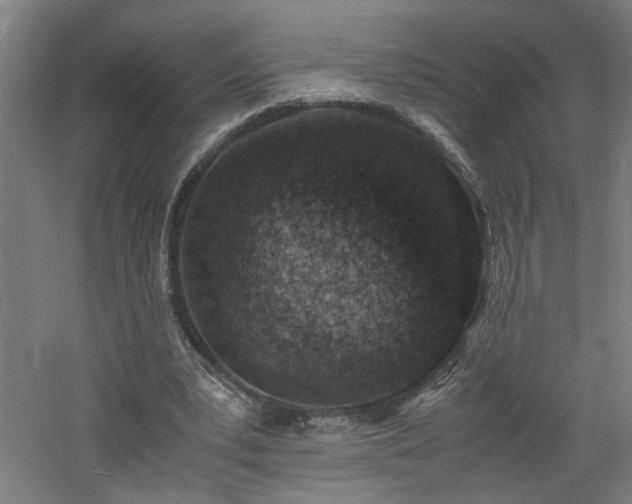 X0000060770391200511101219