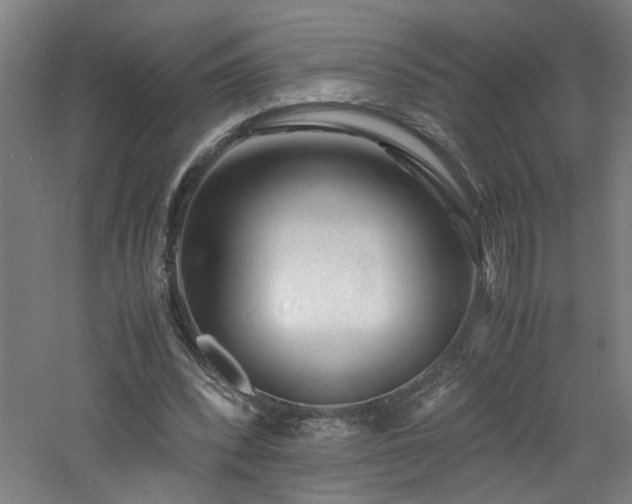 X0000060770392200511101219