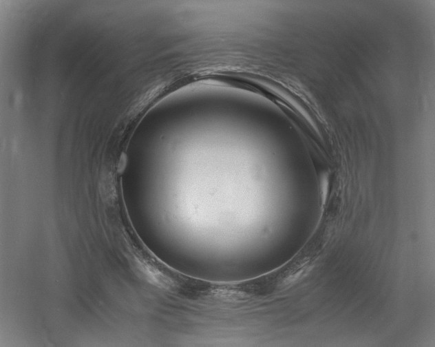 X0000060770393200511101219