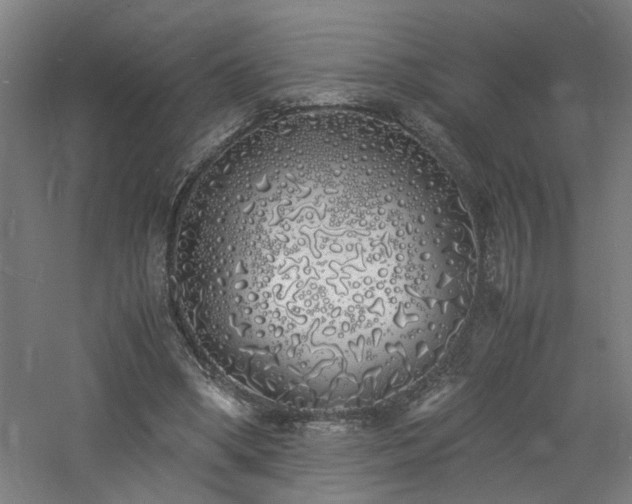 X0000060770394200511101219