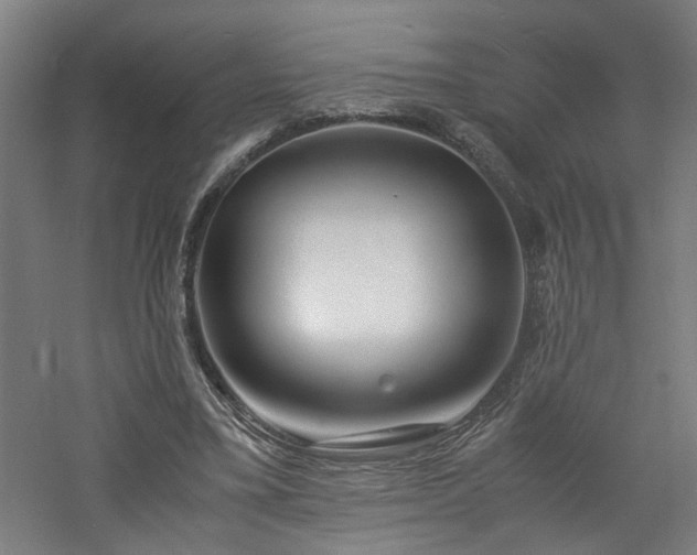 X0000060770395200511101219