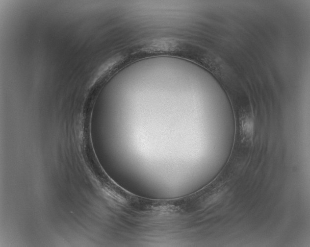 X0000060770396200511101219