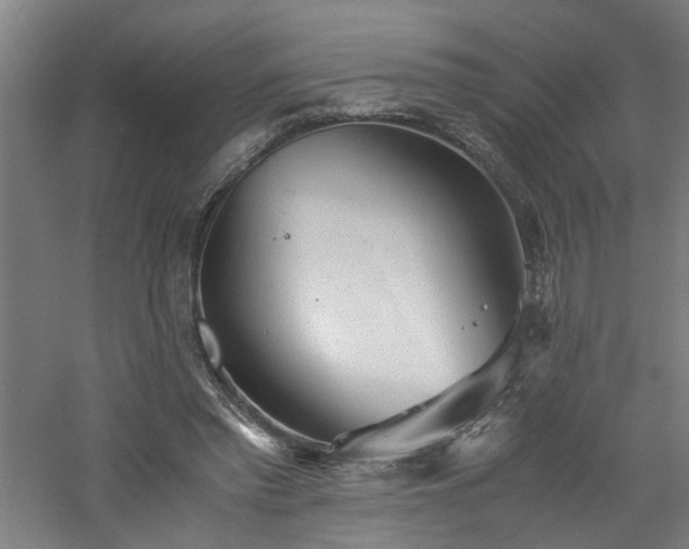 X0000060770397200511101219