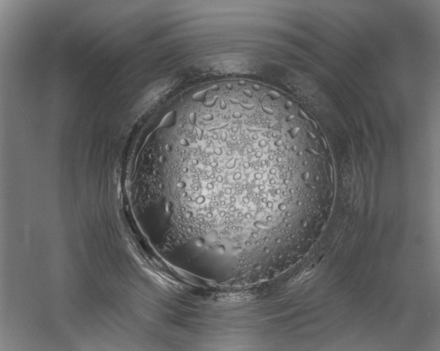 X0000060770398200511101219