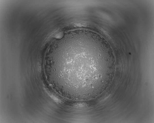 X0000060770402200511101219