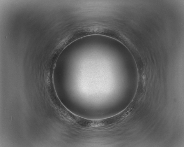 X0000060770403200511101219