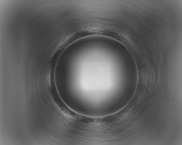 X0000060770404200511101219