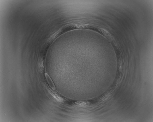 X0000060770405200511101219