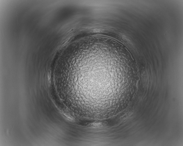 X0000060770406200511101219