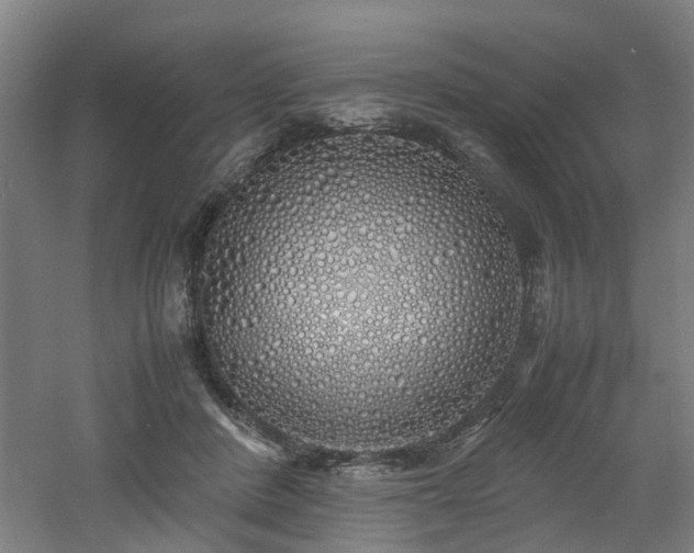 X0000060770408200511101219