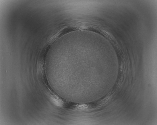 X0000060770409200511101219