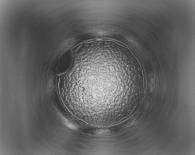 X0000060770410200511101219