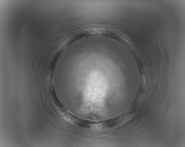 X0000060770411200511101219