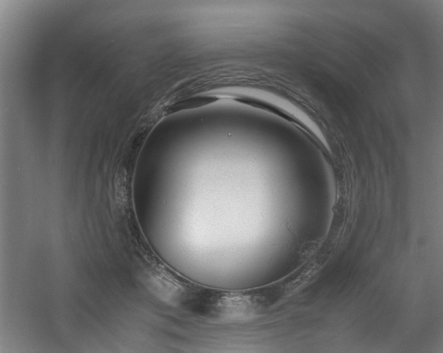 X0000060770413200511101219