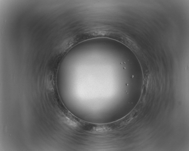 X0000060770414200511101219