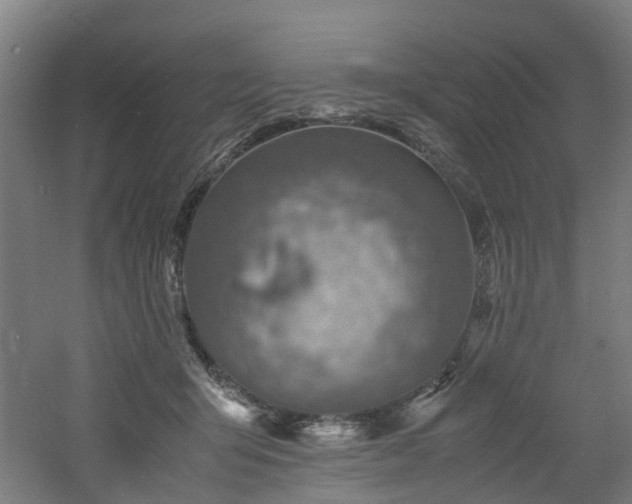 X0000060770415200511101219