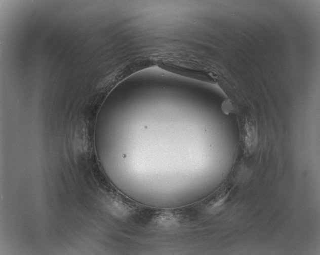 X0000060770416200511101219