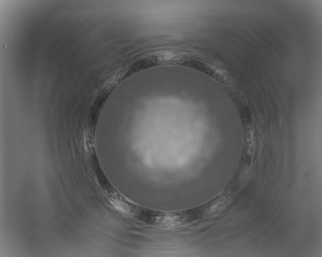 X0000060770419200511101219