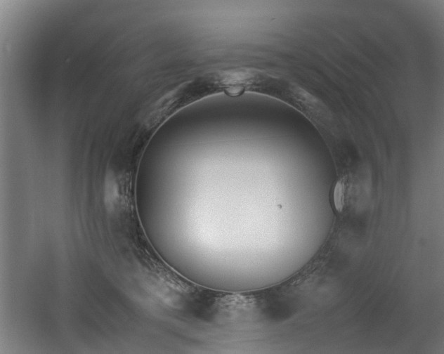 X0000060770421200511101219