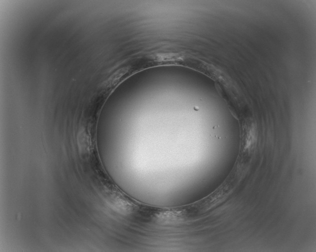 X0000060770422200511101219