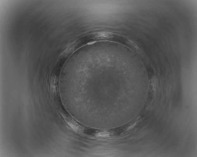 X0000060770423200511101219