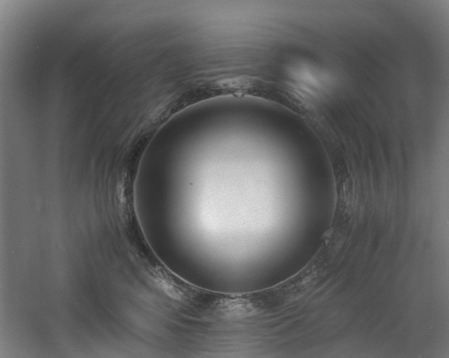 X0000060770424200511101219