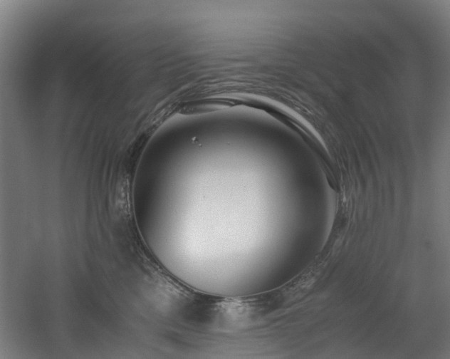 X0000060770425200511101219