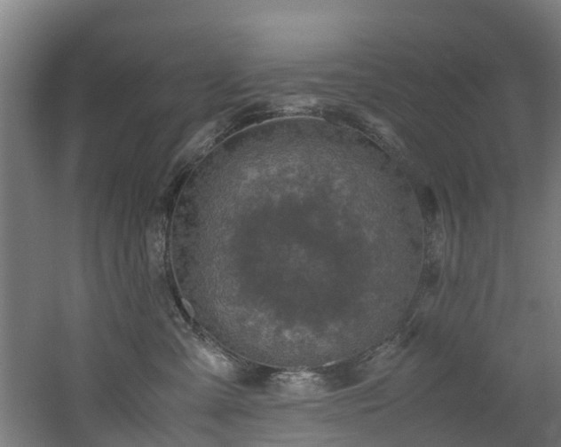 X0000060770427200511101219