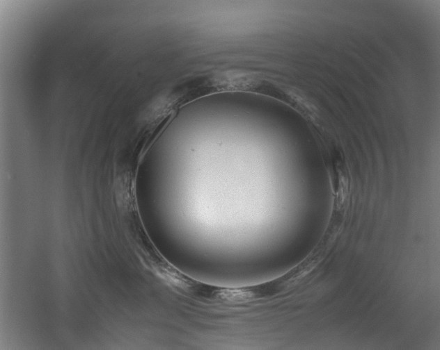 X0000060770429200511101219