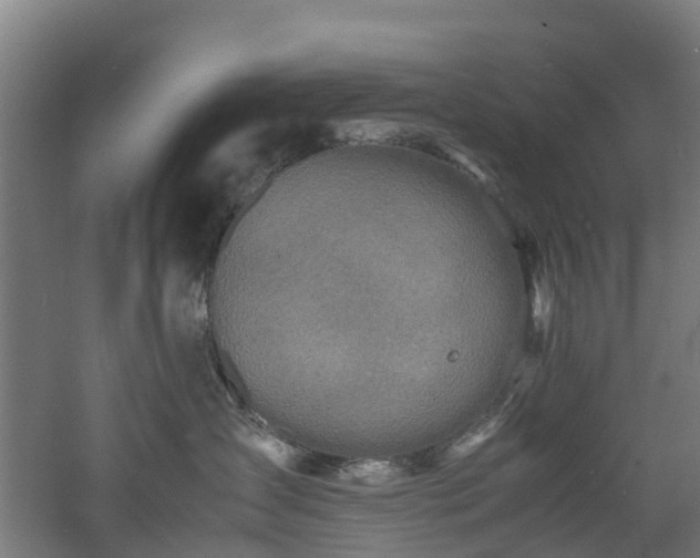 X0000060770431200511101219