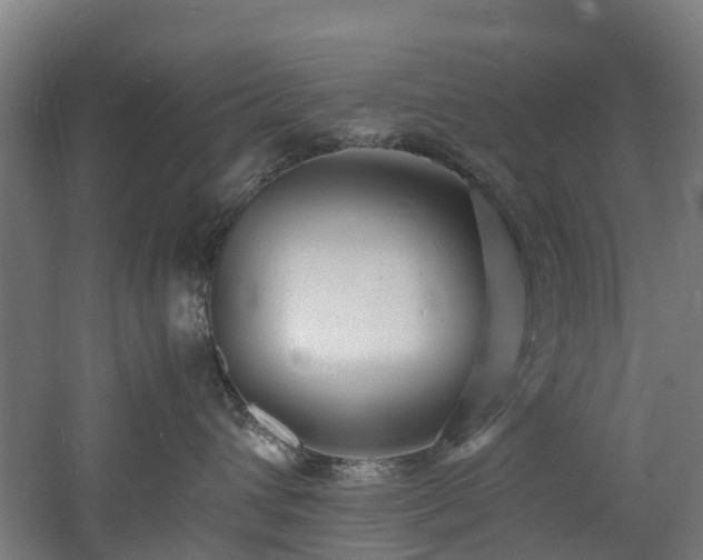 X0000060770432200511101219