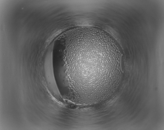 X0000060770433200511101218