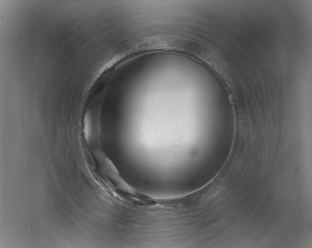 X0000060770434200511101218