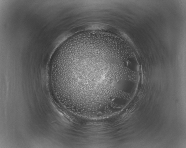 X0000060770435200511101218