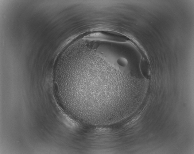 X0000060770437200511101218