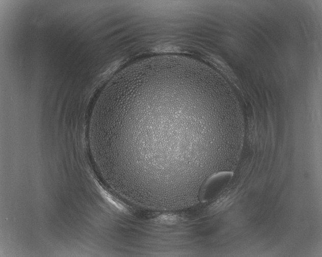 X0000060770441200511101218