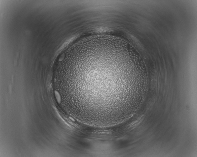 X0000060770443200511101218