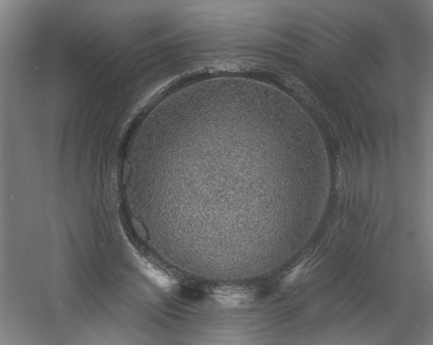 X0000060770444200511101218