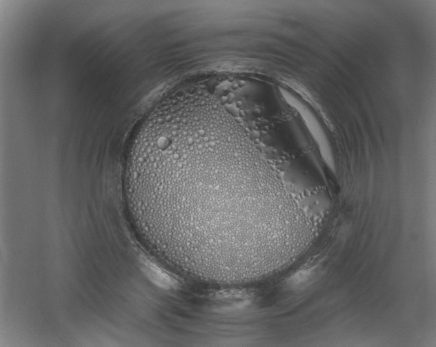 X0000060770445200511101218