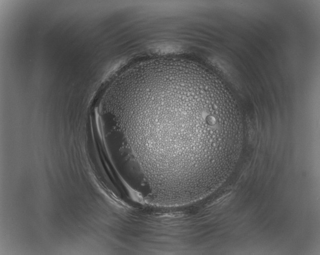 X0000060770447200511101218