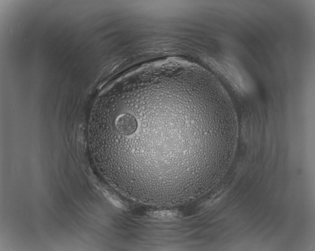 X0000060770449200511101218