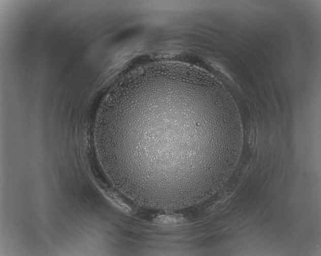 X0000060770455200511101218