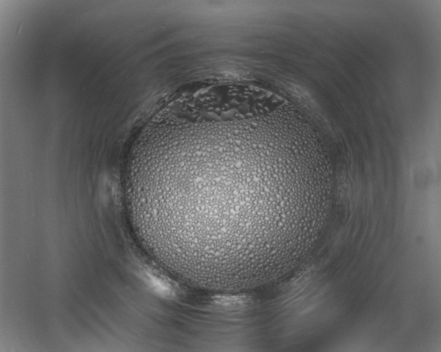 X0000060770457200511101218