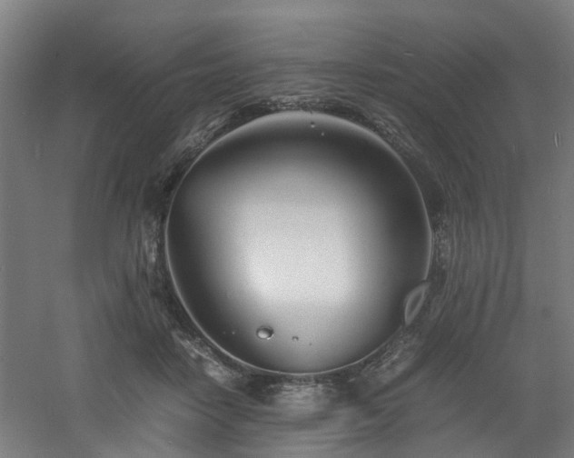 X0000060770458200511101218