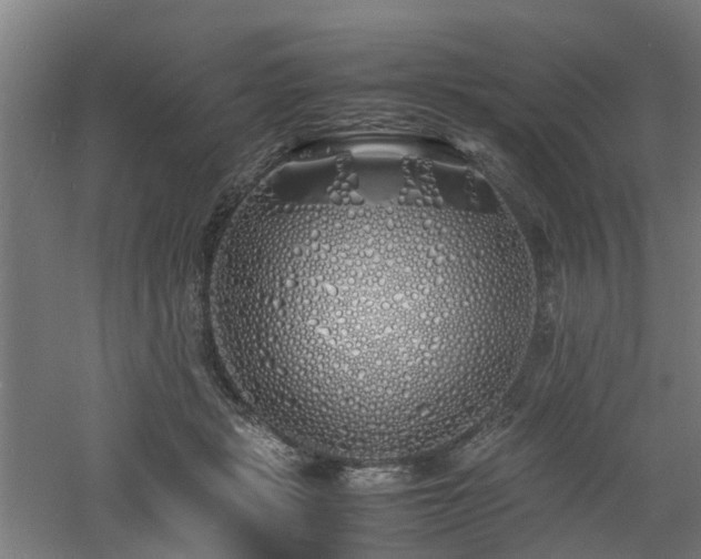 X0000060770461200511101218